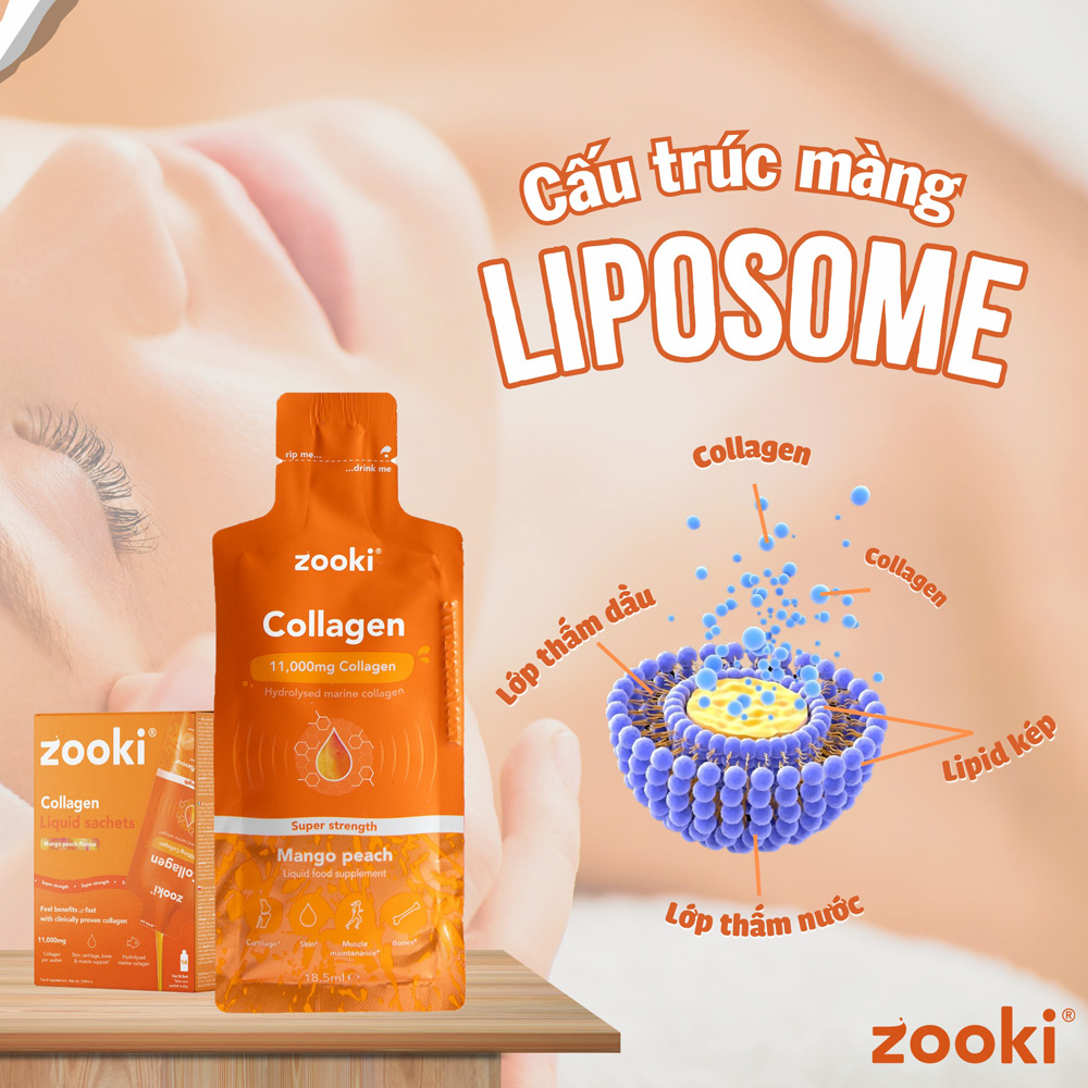 liposome-“lop-khien”-bao-ve-collagen-khoi-da-day-tang-hap-thu-toi-da