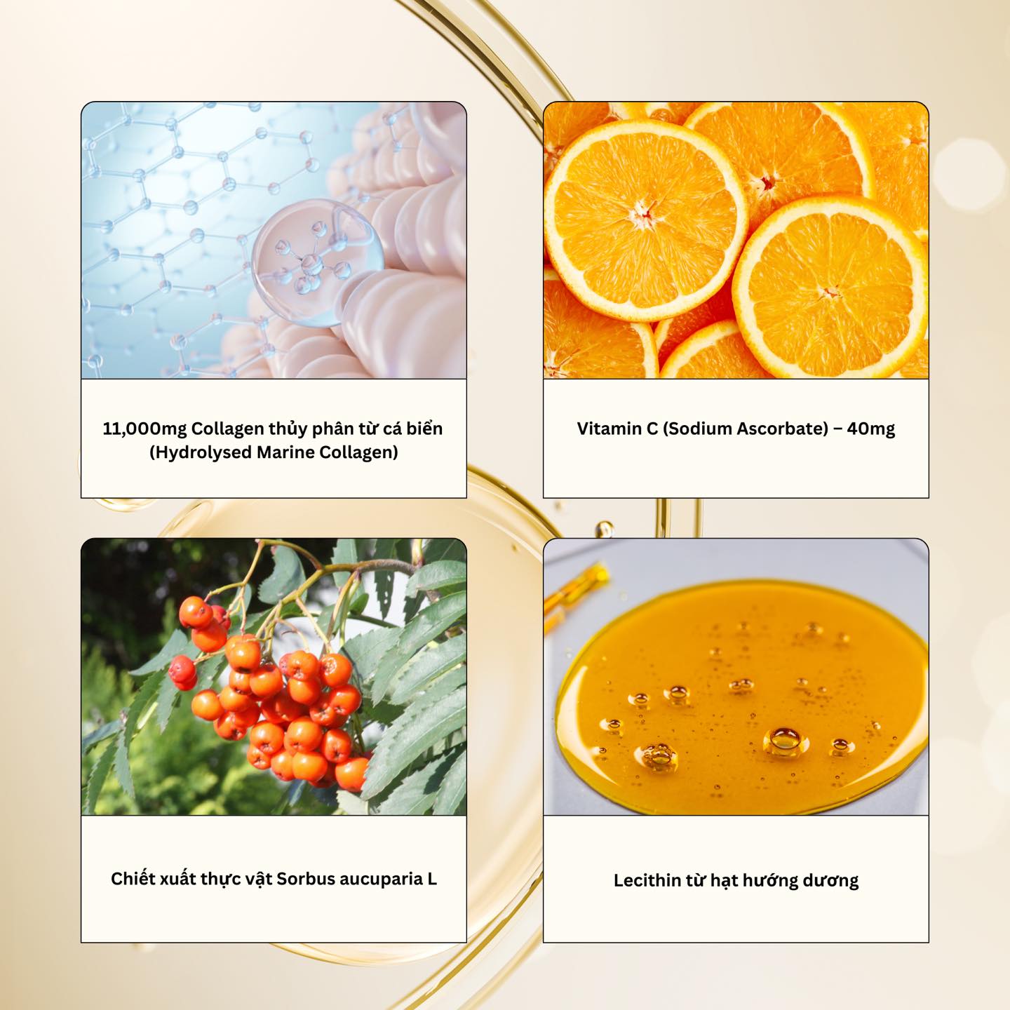 zooki-collagen-super-strength-giai-phap-lam-dep-tu-ben-trong-duoc-ua-chuong-tai-anh-quoc